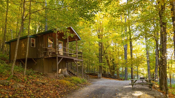 A rustic cabin with a porch and a picnic table in a forest. - WiFi l Heat/AC l Firepit/Grill-- Glamp in Style! (Riverton)