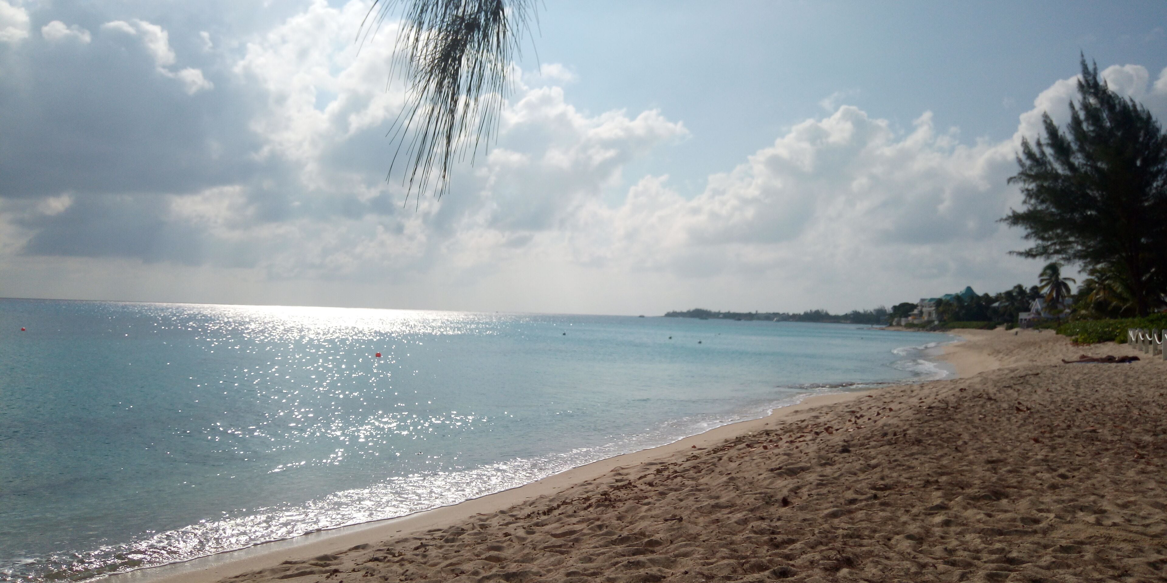 在海灘附近、沙灘巾