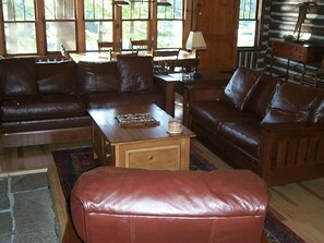 Fireplace, DVD player, books, stereo