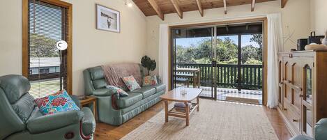 TV, DVD player, books, video library