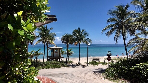 A beach scene with a lifeguard tower, palm trees, and a clear view of the ocean. - Located steps from the ocean, offering true beach living (Hollywood)