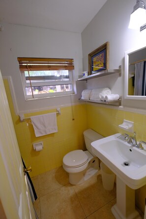 Combined shower/bathtub, hair dryer, towels, soap