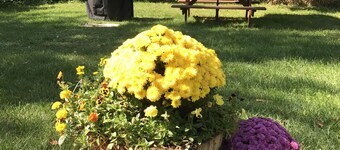 Cutest Cabin in Windham close to Ski Slope & Town,clean & comfy perfect getaway