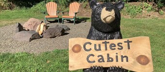 Cutest Cabin in Windham on site miniature golfing with fire pit and BBQ 
