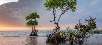Amantra Lake View Villa à louer