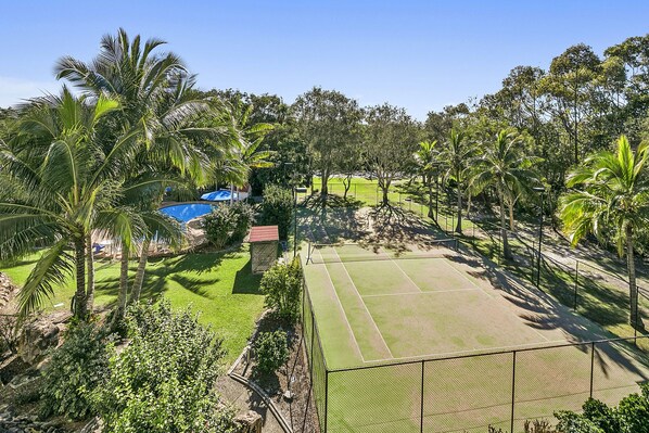 A tennis court surrounded by lush greenery and palm trees.