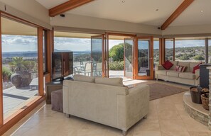 TV, fireplace, DVD player, books