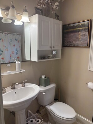 Combined shower/bathtub, hair dryer, towels, soap - Downtown open space home with a patio garden for the month of August (Charleston)