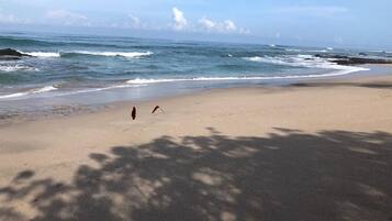 Am Strand, LiegestĂŒhle, StrandtĂŒcher