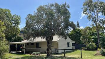 A house with a large tree in front, a covered porch, and a well-maintained lawn.