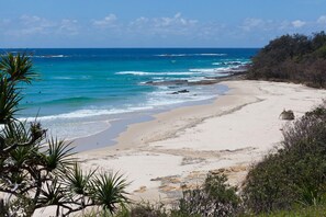 Une plage avec une eau d’un bleu limpide, un rivage sablonneux et quelques plantes.