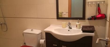 A bathroom with a toilet, sink, and mirror.