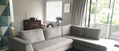 TV, DVD player, books, stereo