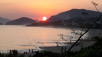 Playa en los alrededores y camastros