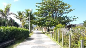 Un chemin pavé orné de motifs circulaires, bordé de verdure et d’une clôture en bois.