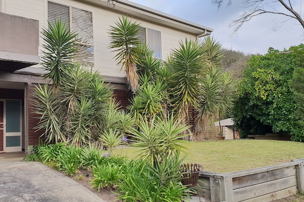 Front Yard