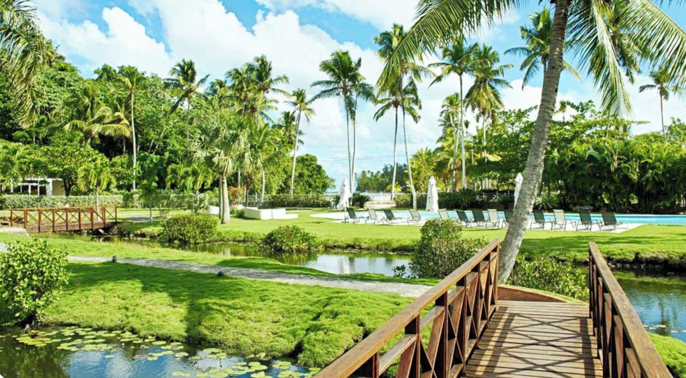 A wooden bridge over a pond with lily pads, surrounded by lush greenery and palm trees.