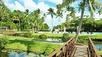 A wooden bridge over a pond with lily pads, surrounded by lush greenery and palm trees.