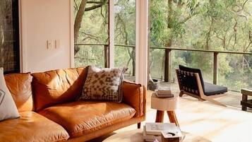 Smart TV, fireplace, stereo