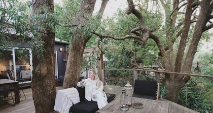 A unique Treehouse overlooking Kangaroo River.
