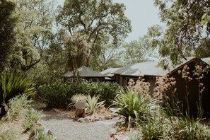 Property grounds - A unique Treehouse overlooking Kangaroo River. (Kangaroo Valley)