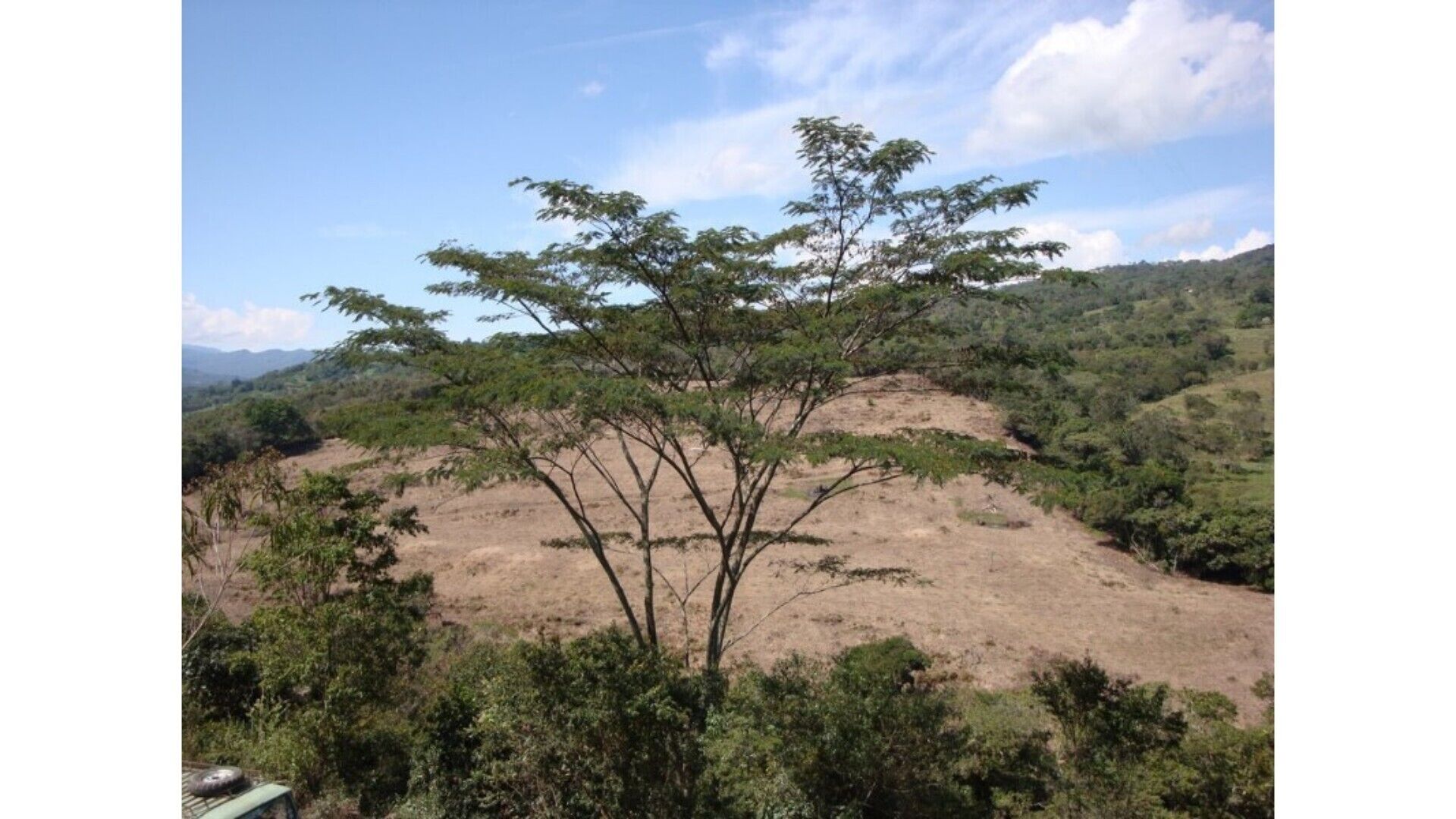 Paradise, beauty and comfort in a rural place