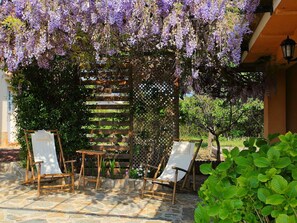 Terraza o patio