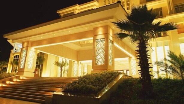 A grand hotel entrance with a wide staircase, large columns, and a palm tree.