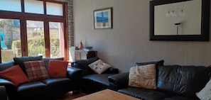 TV, fireplace, video games, DVD player