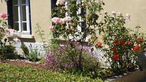 Un jardín con diversas plantas florecientes y un edificio con ventanas y una puerta.