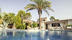 Una piscina con sillas de descanso y una palmera.