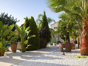 Overnattingsstedets uteområder