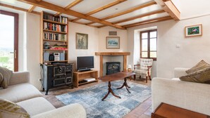 A cozy living room with a fireplace, bookshelves, a television, and comfortable seating. - La Magnanerie - Fantastic views, perfect base for the Ardeche and Chazzezac (Lablachère)