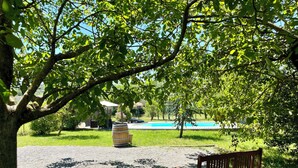 A wooden bench under a tree, a barbecue grill, and a swimming pool in the background.