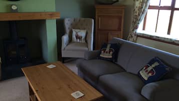 TV, fireplace, DVD player, books