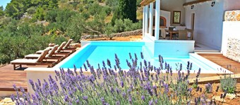 Eco-friendly amazing sea view villa with pool, playground, U-pick garden...