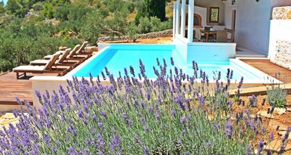 Eco-friendly amazing sea view villa with pool, playground, U-pick garden...