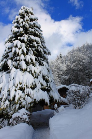 المنطقة المحيطة بالمنشأة
