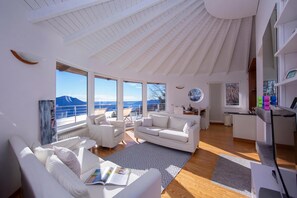 TV, fireplace, DVD player - The Perfect View Loft, Premeno, Italy (Premeno)