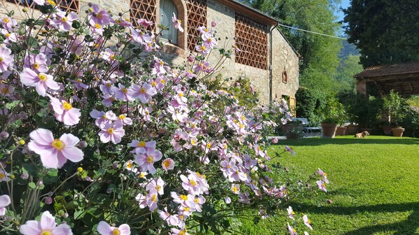 Un bâtiment en pierre avec un jardin devant, une pelouse et un chien.