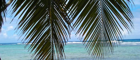 Una spiaggia nelle vicinanze