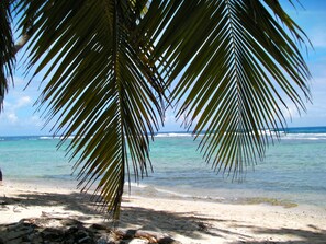 Beach nearby - PRESTIGE VILLA INTO A 80 ACRES PRIVATE PARK (Las Terrenas)