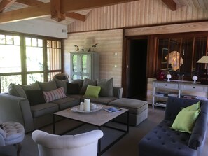 Télévision, cheminée, lecteur de DVD, chaîne hi-fi