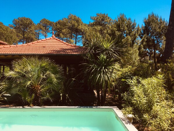 Piscine chauffée
