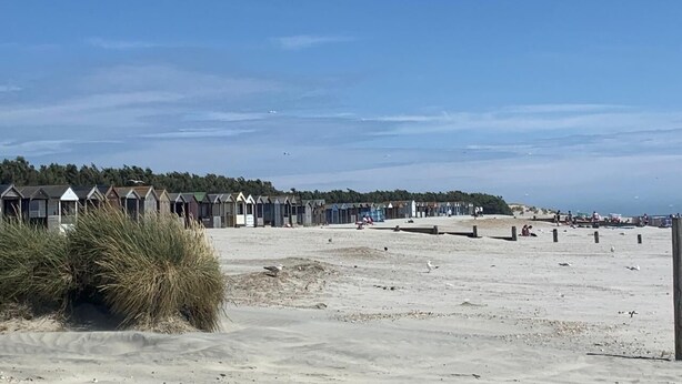 Une plage avec des cabanes de plage et une zone sablonneuse.