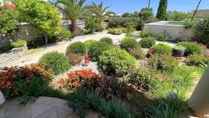 Property grounds - Apartments Luciana, (15947), Premantura, hr (Premantura)