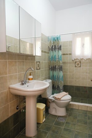 Hair dryer, towels, shampoo, toilet paper