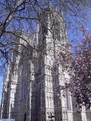 A Gothic-style cathedral with intricate stonework and a large arched entrance.