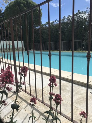 Una piscina con valla metálica y plantas florecientes al frente.
