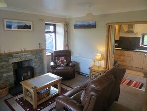 Smart TV, lareira, DVD player, livros